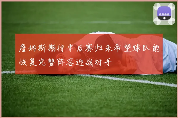 詹姆斯期待季后赛归来希望球队能恢复完整阵容迎战对手